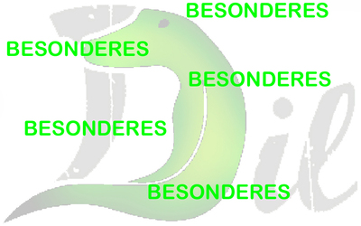 Besonderes bei dil.ch