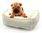 SWISSPET Hunde- und Katzenbett Romeo M, 53x63x20 cm, Bett ist Kissen, waschbar