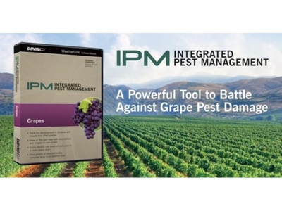 DAVIS 6571, Integrated Pest Management Grapes, Windows