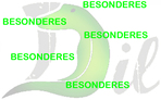 Besonderes bei dil.ch
